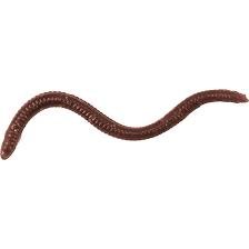 Ešerių siaubas Dirbtiniai Sliekai Tasty Slieko Skonio Drop-Shot 22vnt Upėtakių žvejybai - Image 7