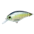 GSSS