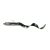 Black Green Pearl