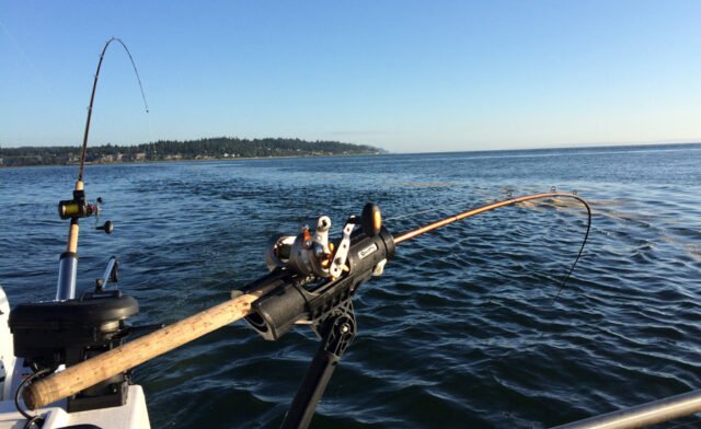 Blizgė Lašišinė Trolling IV 120mm 23g UV-Efektas Salmon - Image 3