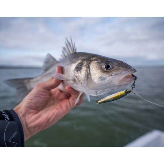 Blizgė Salmon Casting Mustad - Image 5
