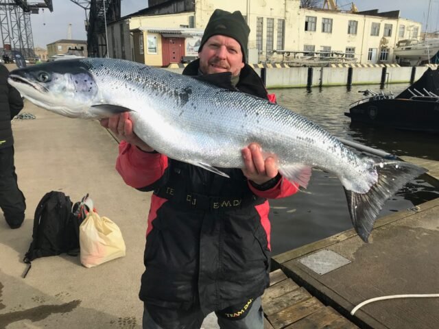 Blizgė Trolling V 130mm 29g UV-efektu Salmon - Image 2
