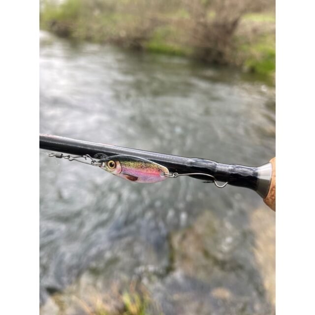 Blizgė Upėtakiams Trout Spoon 3D 5g - Image 2