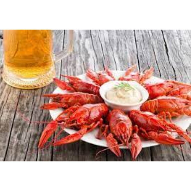 DAM Bučius gaudyklė sietelis Vėžiams Krabams gaudyti Aukšta Vokiška Kokybė! - Image 2