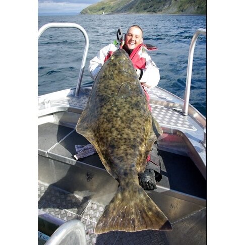 Guminukas jūrinis Kinetic Slim Jim Fancy Cola 25cm 340g Halibutų Didelių Menkių Žvejybai Norvegijoje - Image 2