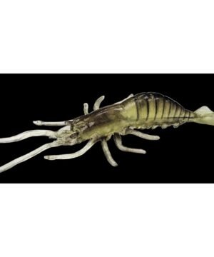 Tikra krevečių imitacija Krevetė Real Shrimp Krevetė UV-aktyvus 10cm Germany