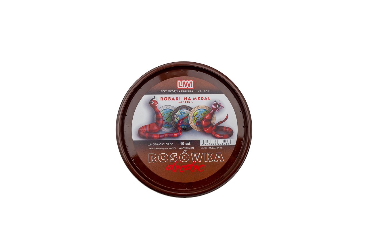 Gyvi Naktiniai sliekai 10vnt. iki 12-18cm - Image 3