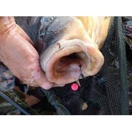 Kabliukai karpiniai neblizga Titanium CARP Anti Snag Boilies High-Carbon Mega-Sharp! made in JAPAN JENZI - Image 2