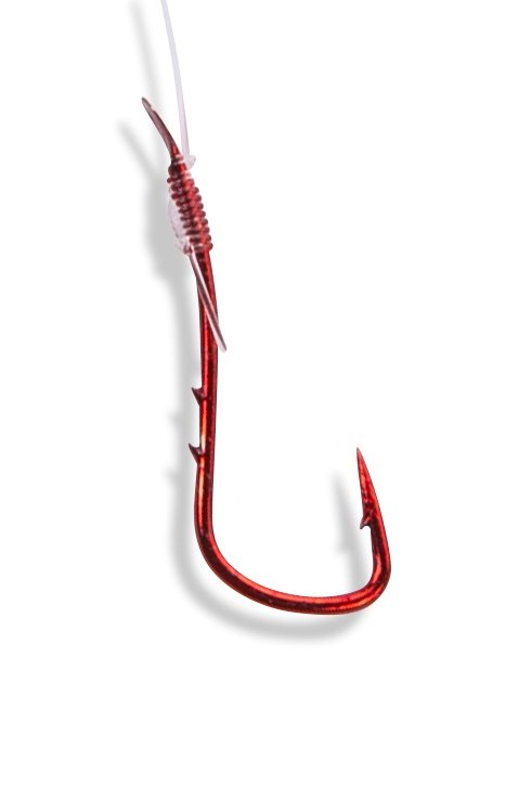 Kabliukai su pavadėliu Sliekui su užkarpėlė - Image 2