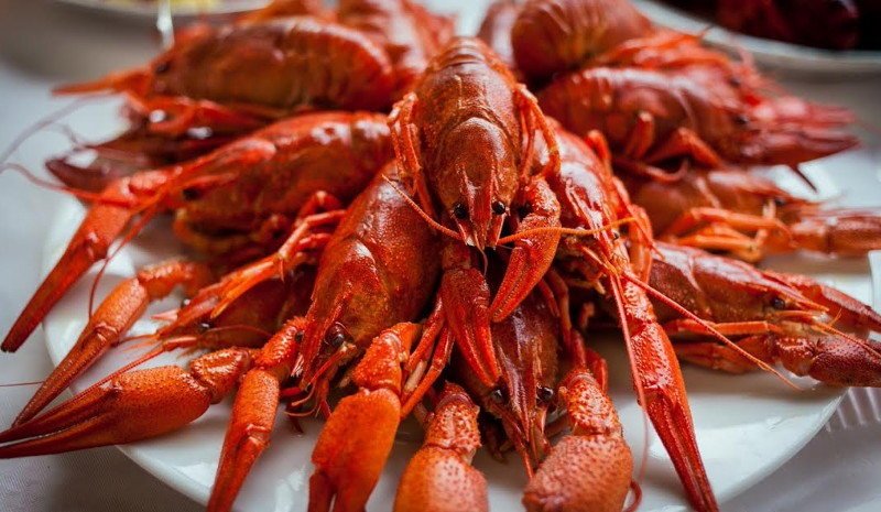 Kėselis vertikalus vėžiams gaudyklė su plūde ir masalo prisėgimo sistema Pagamintas Vokietijoje - Image 2