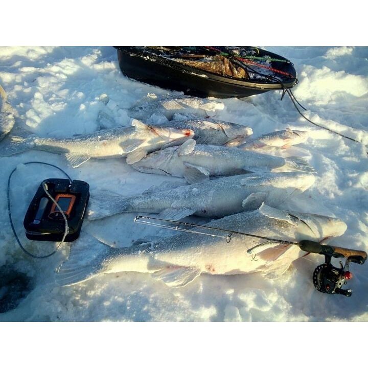 SUPER KAINA 295EUR Naujas Praktik 8 modelis Echolotas Sonar Fish Finder Eholots PRAKTIK 8 Multi-Language PRO Serija - Image 7