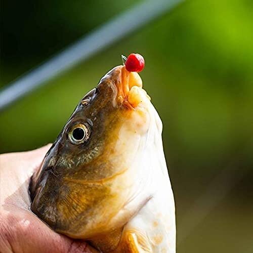 Paletės kablio masalas FJUKA FATBOYS 2IN1 10MM Upėtakių žvejybai - Image 3