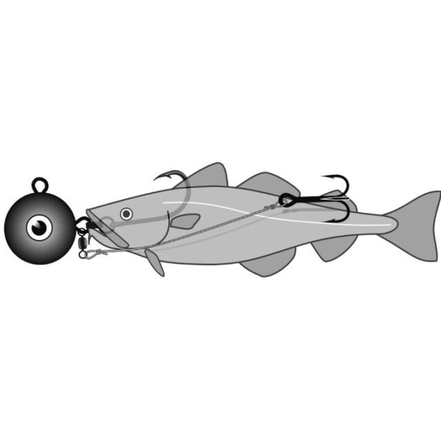 Sistema jūrinė Halibut strong į Norvegija su trišakiu - Image 3