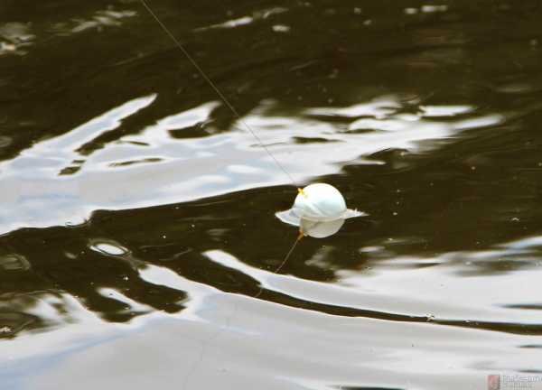 Plūdė Fluo žalsva kamuoliukas su 2 metalinėmis ausytėmis 35mm Plūduras 2vnt. - Image 5