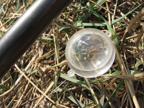 Plūdė Fluo žalsva kamuoliukas su 2 metalinėmis ausytėmis 35mm Plūduras 2vnt. - Image 7