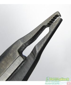 Alternative view of Replės spec Pintam valui