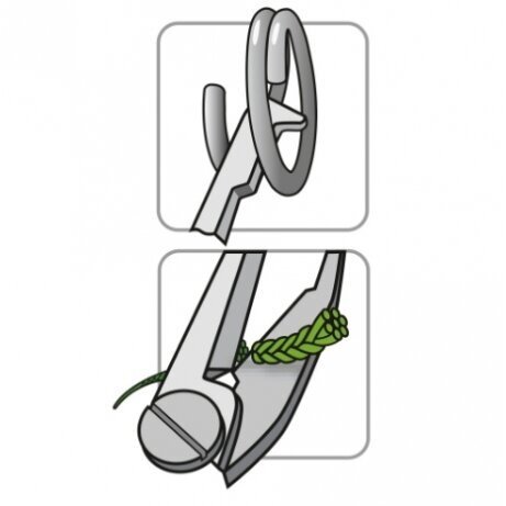 Replytės su snapeliu Mustad 13cm + Pinto valo žirklutės +žiedelių išskleidėjas - Image 2