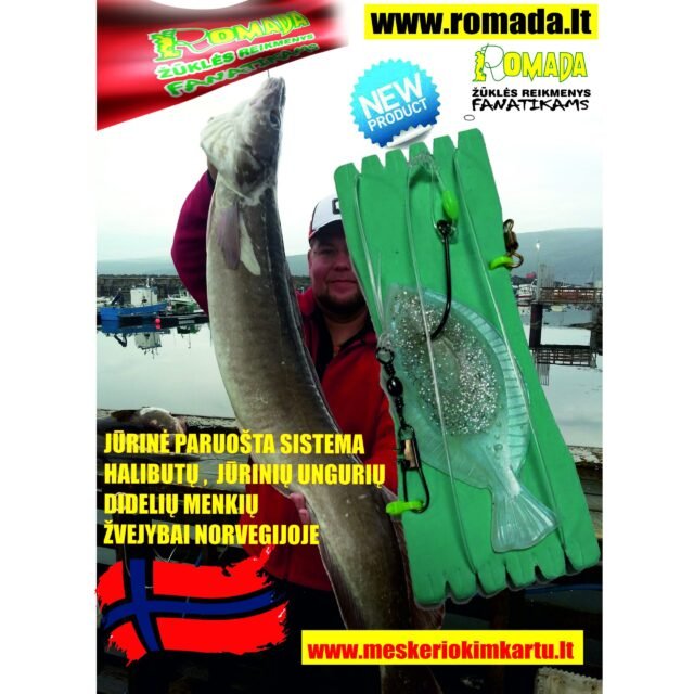 Paruošta Sistema jūrinė 3D Plekšnės Mailius Bait-Rig Menkėms Otams Halibutams Saidoms Kibimas Garantuotas