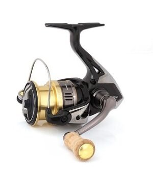 rite-spiningui-cardiff-ci4-