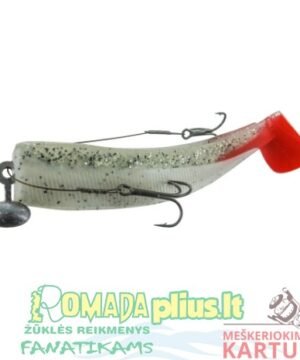 Alternative view of Sistema guminukui sėklyje