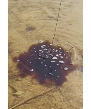 Alternative view of Skystas Jaukas Saldi Duona Momentaliai Privilioja Žuvis į Žūklės vietą 100% natūralūs ingredientai