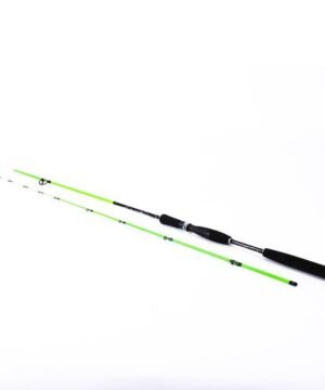Spiningas Edition Fishing 2.70m 9-46g