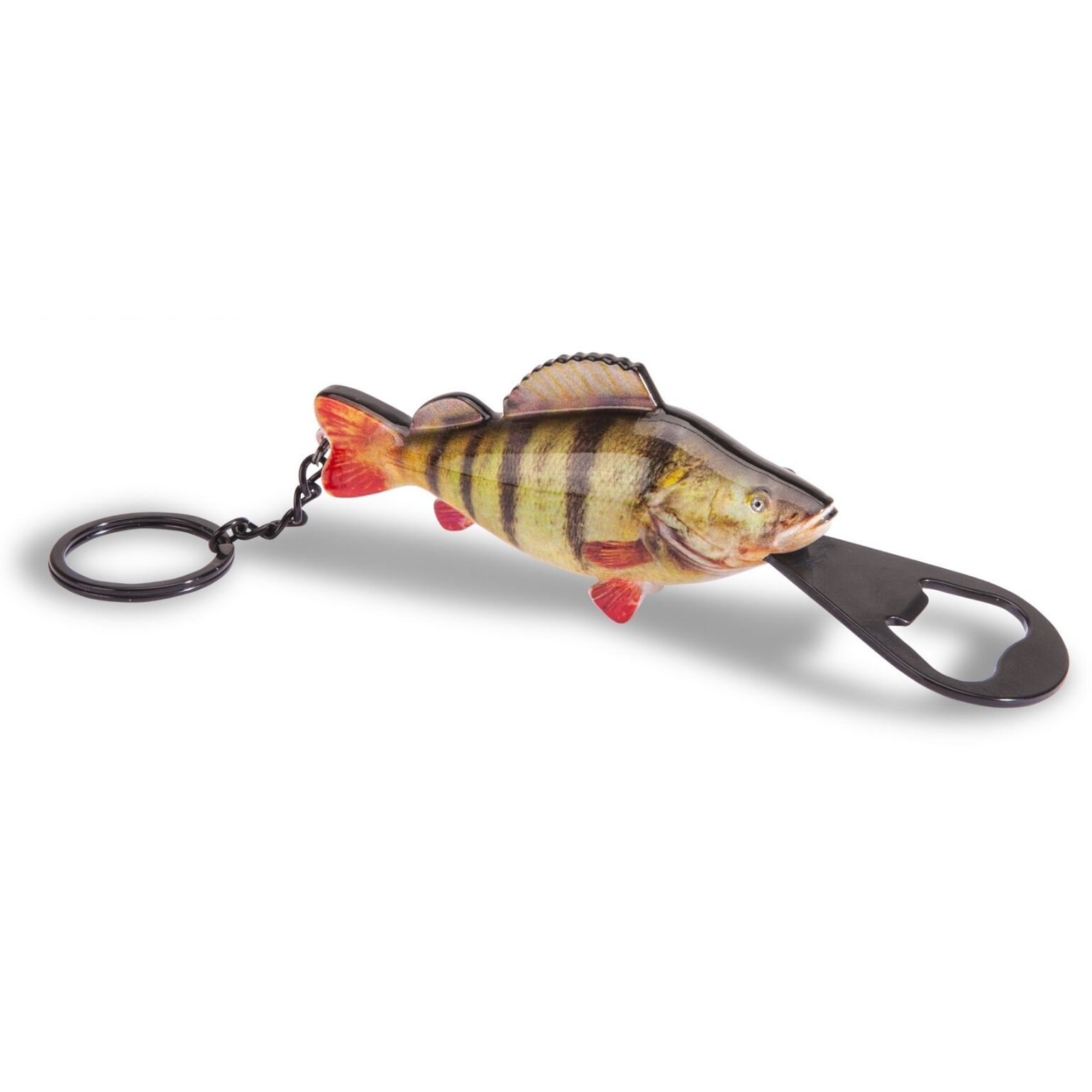 Super Kaina 12eur Pakabukas Prie Raktų Žuvis Lydeka Šamas Ešerys Upėtakis Menkė Karpis atidarytuvas alui Suvenyras Dovana Žvejui žūklės tema - Image 5