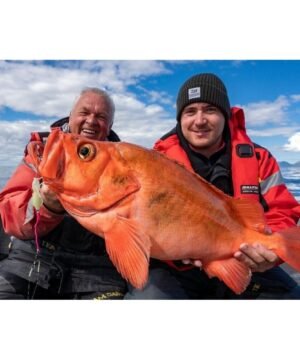 Sistema jūrinė Daiwa Grandwave Redfish Ešerys