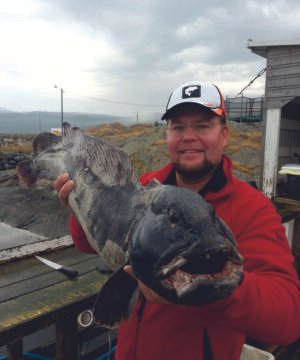 Alternative view of Sistema jūrinė Daiwa Grandwave Rattlin Wolffish Vilkžuvėms