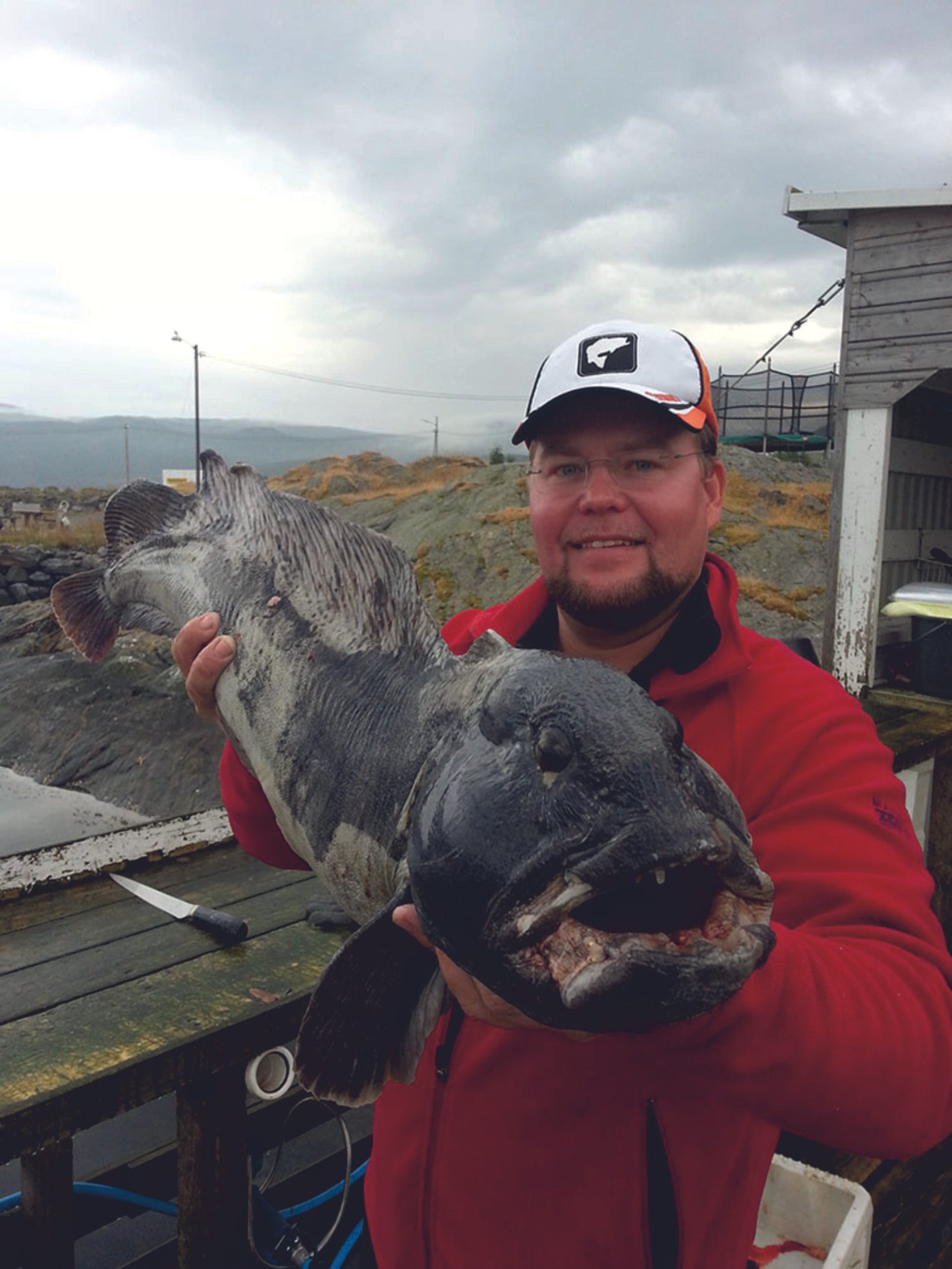 Sistema jūrinė Daiwa Grandwave Rattlin Wolffish Vilkžuvėms - Image 2