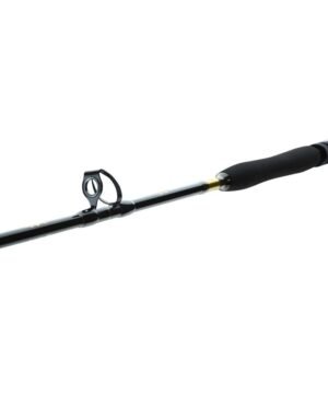Alternative view of Super kaina 159eur Spiningas jūrinis Travel BG Big Game 1.68m 30-50lbs Daiwa