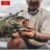 Bait Fish