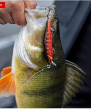 VOBLERIS Precision Xtreme Rapala 10cm 15.5g Suspending